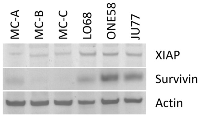 Figure 4.