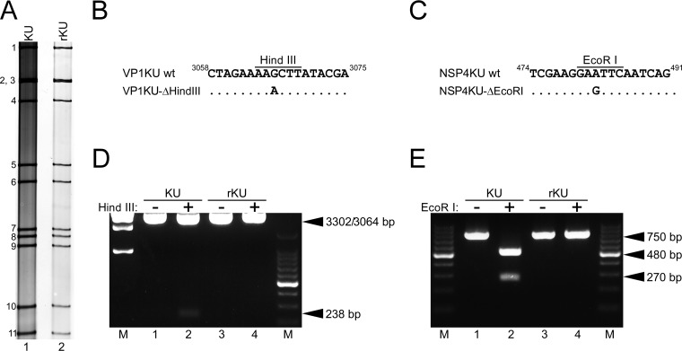 FIG 3
