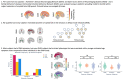 Graphical Abstract