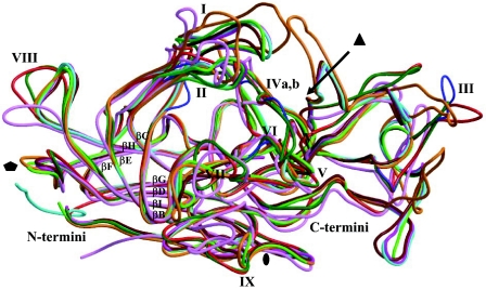 FIG. 6.