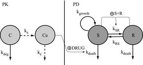 FIG. 1.