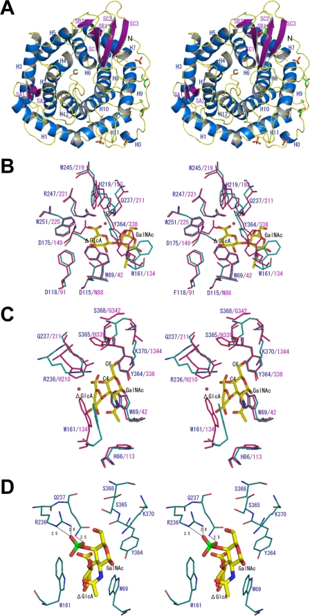 FIGURE 4.