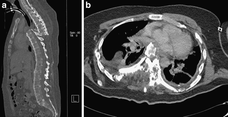 Fig. 8