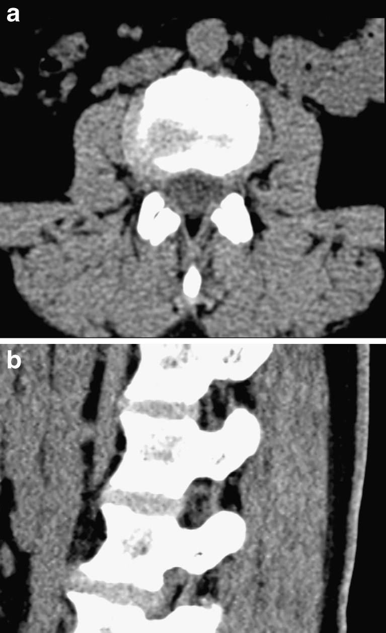 Fig. 6