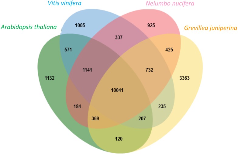 FIGURE 4