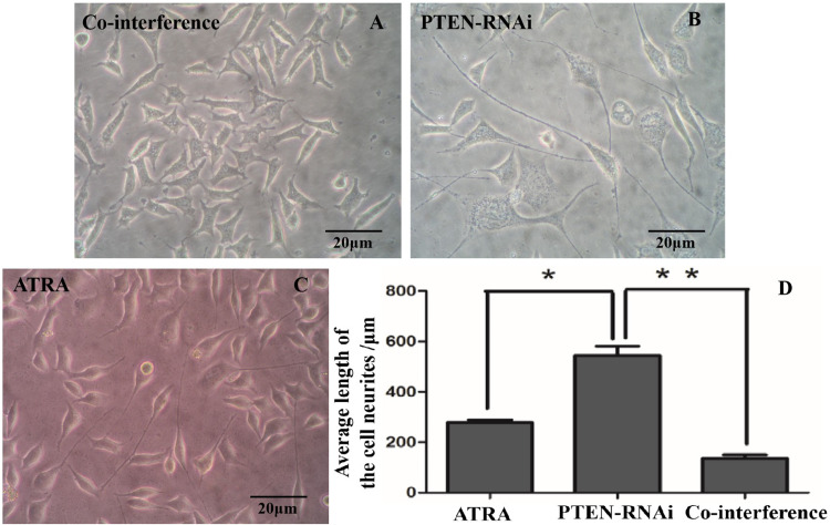 Figure 12.
