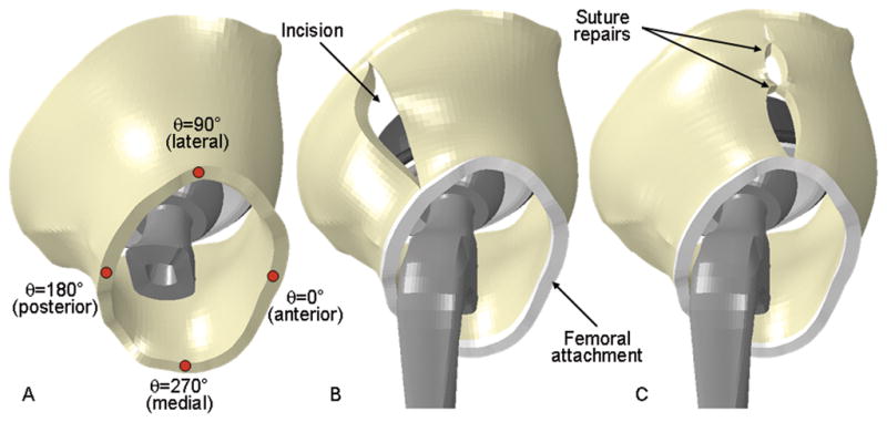 Fig. 6