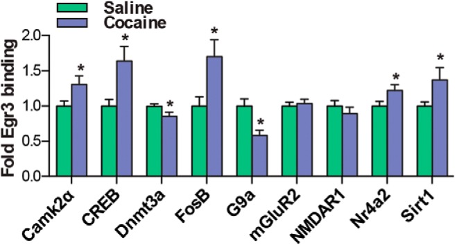 Figure 7.