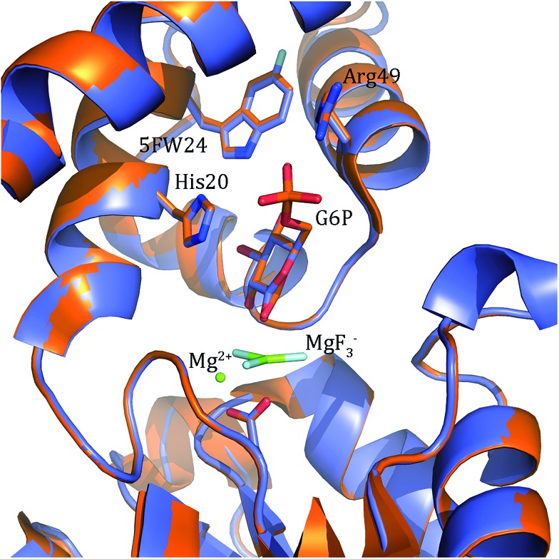 Fig. 6