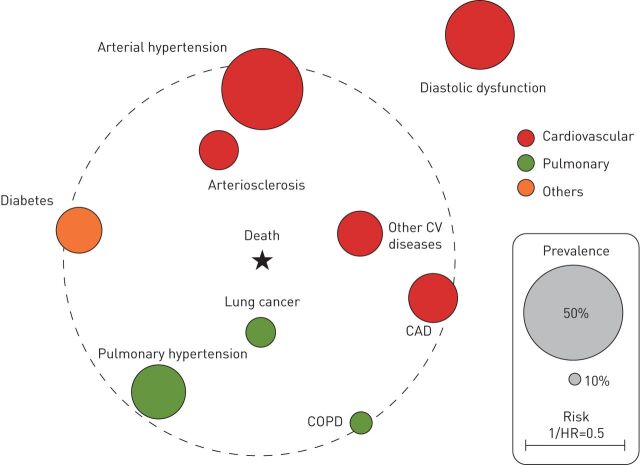 FIGURE 2