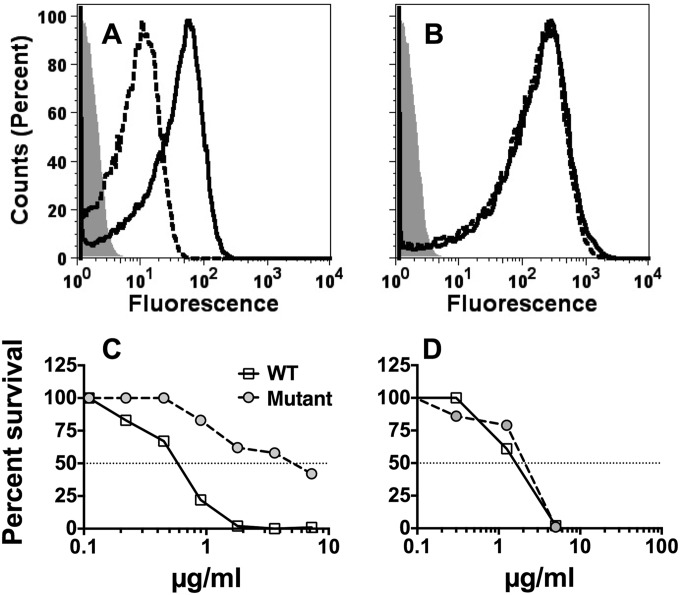 FIG 7 