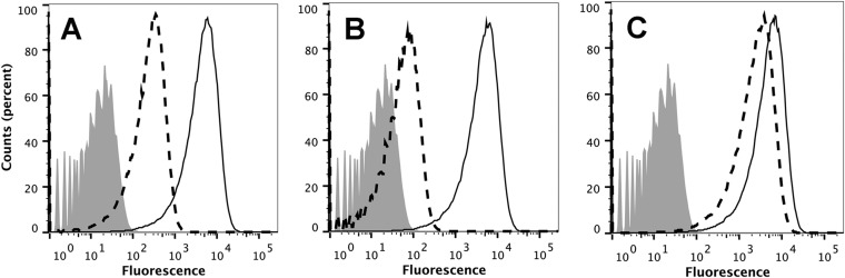 FIG 3 