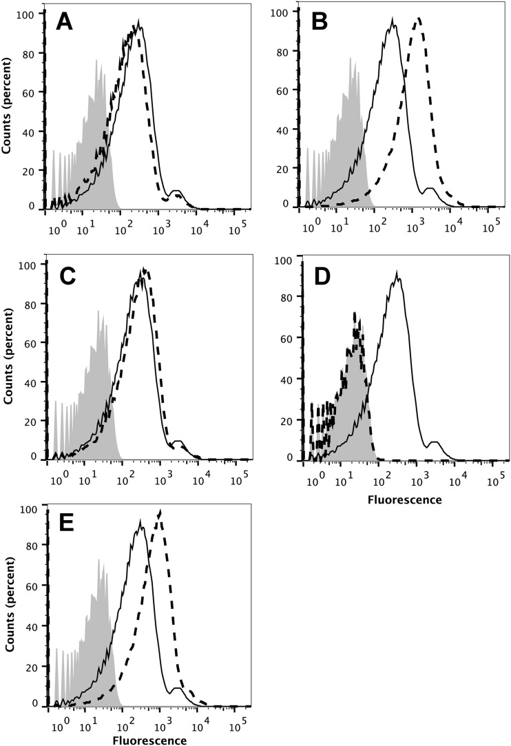 FIG 4 