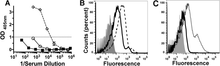 FIG 6 