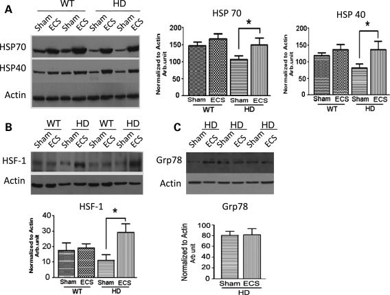 Figure 4.