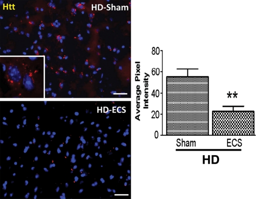 Figure 3.