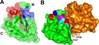 Fig. 4