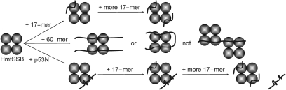 Figure 10.