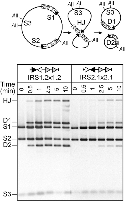 Figure 4.