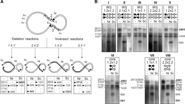 Figure 7.