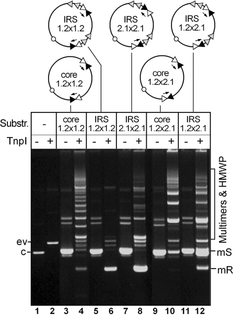 Figure 3.