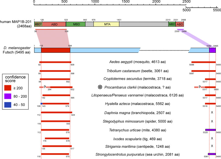 Figure S1.