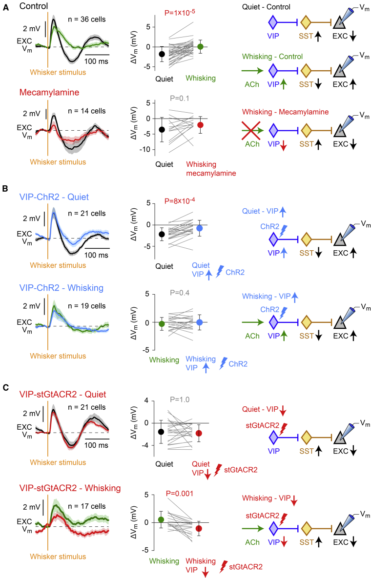 Figure 4