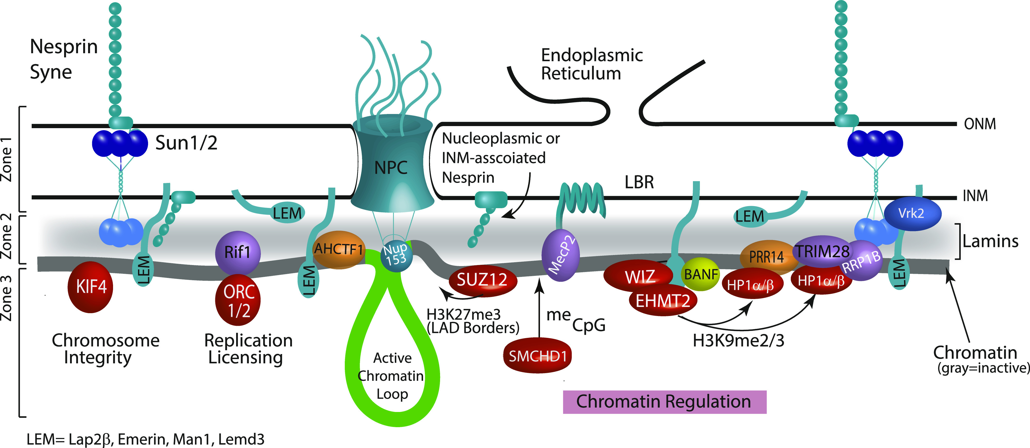 Figure 7.