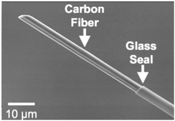 Figure 2: