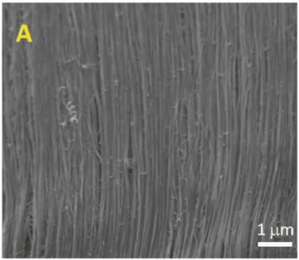 Figure 10: