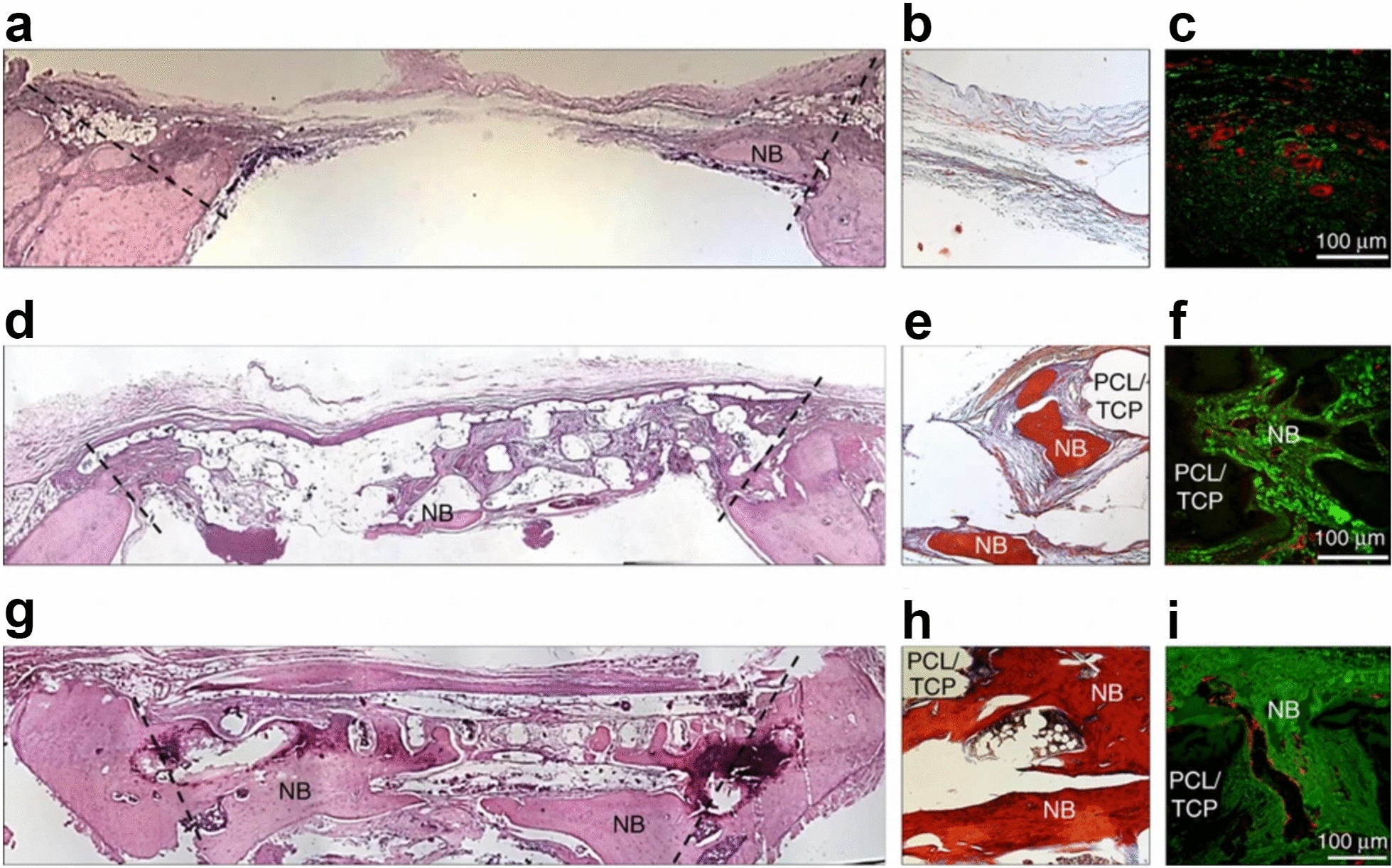 Fig. 10