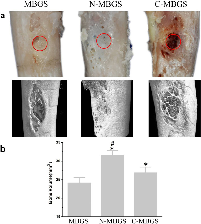 Fig. 5