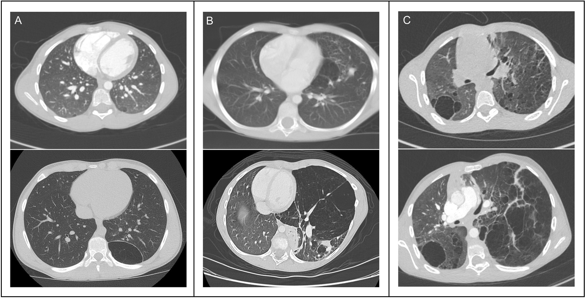 Fig. 1