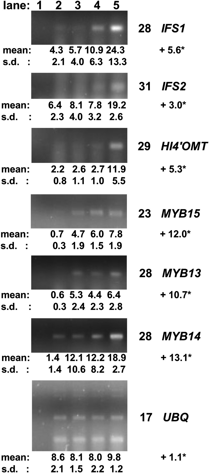 Figure 3.