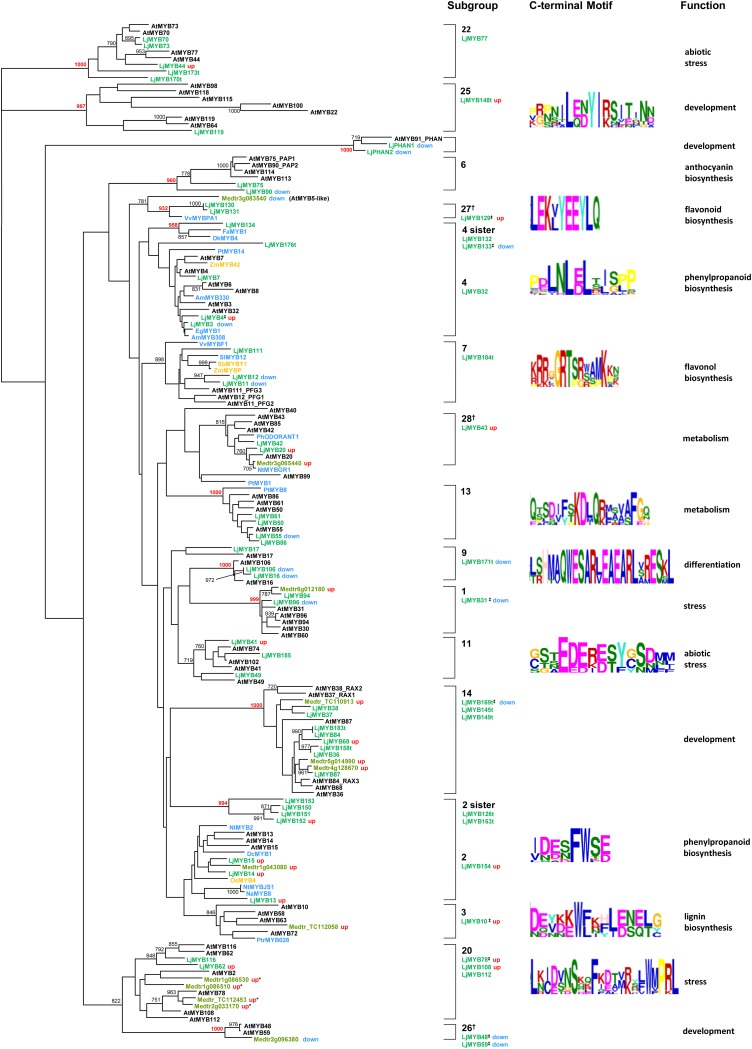 Figure 2.