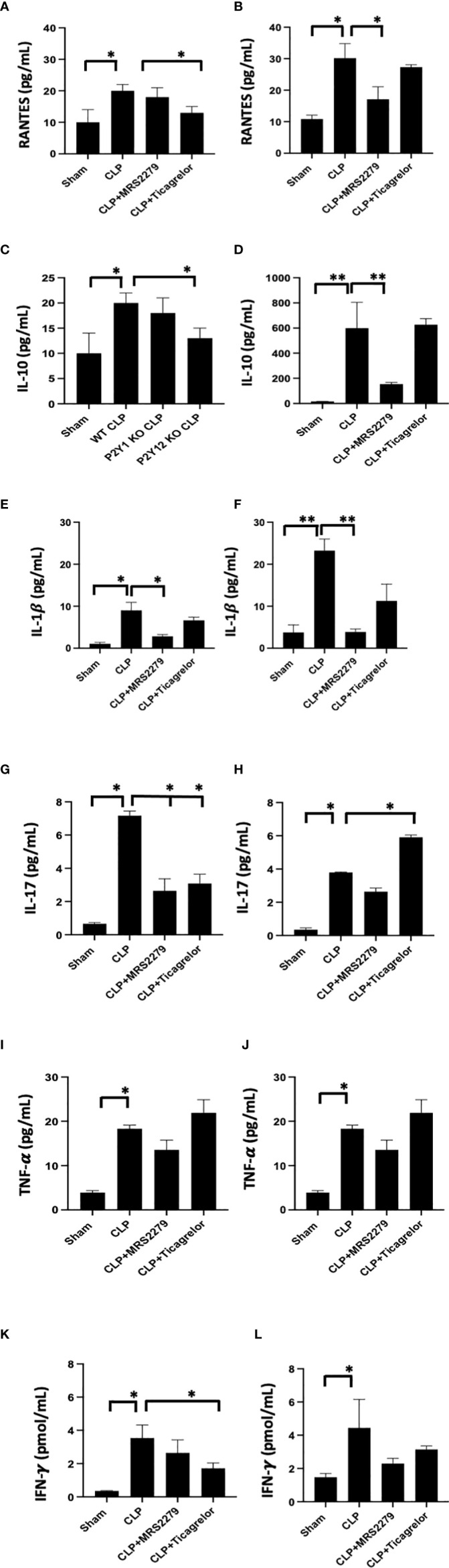 Figure 7