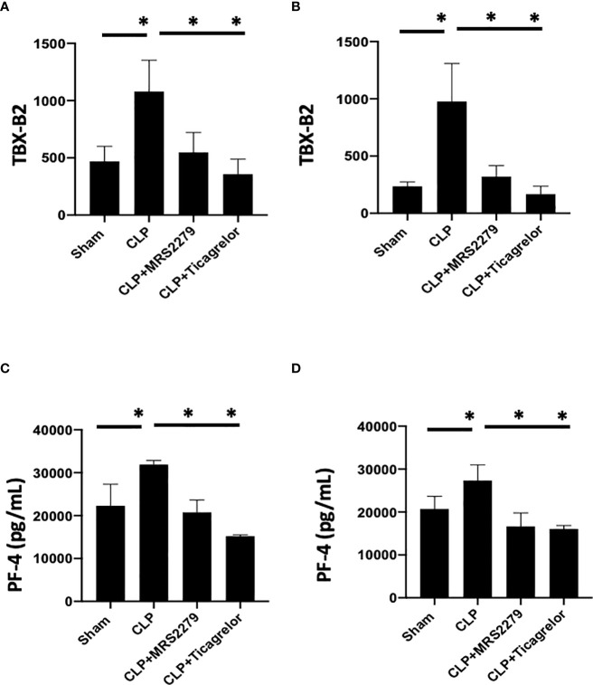 Figure 6