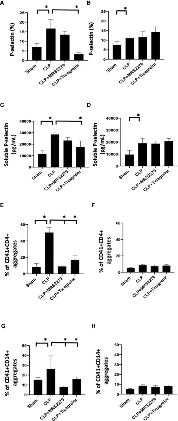 Figure 5