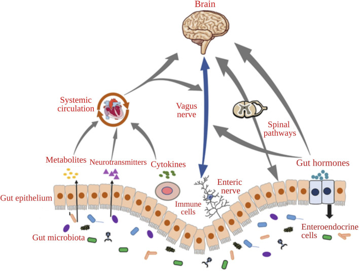 FIGURE 1