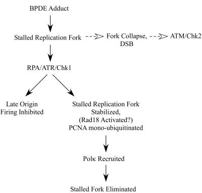 FIG. 10.