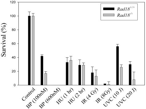 FIG. 8.