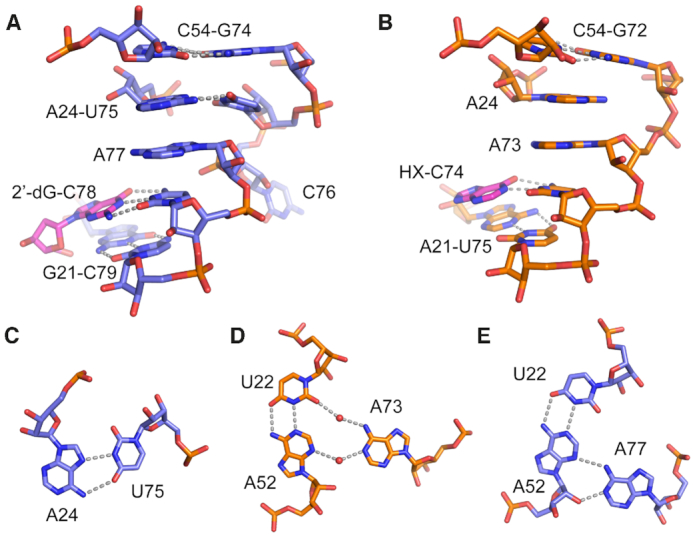 Figure 5.