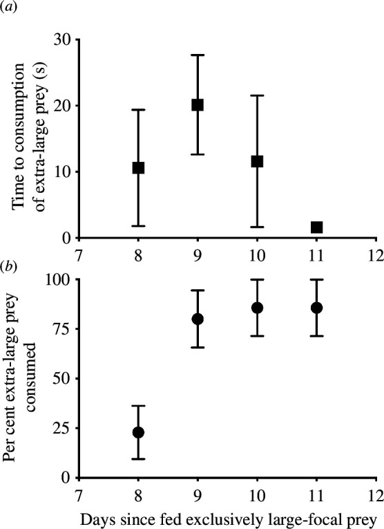 Fish response to extra-large novel prey