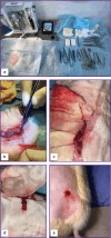 Figure 3.