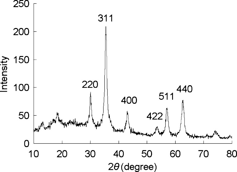 Fig. 1