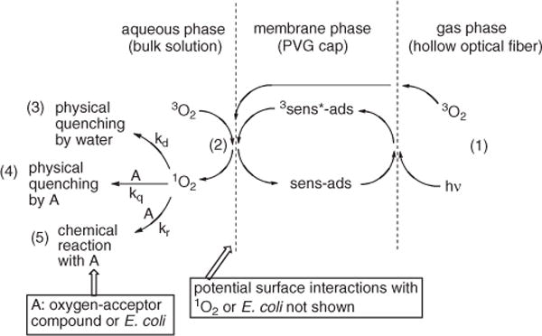 Scheme 3