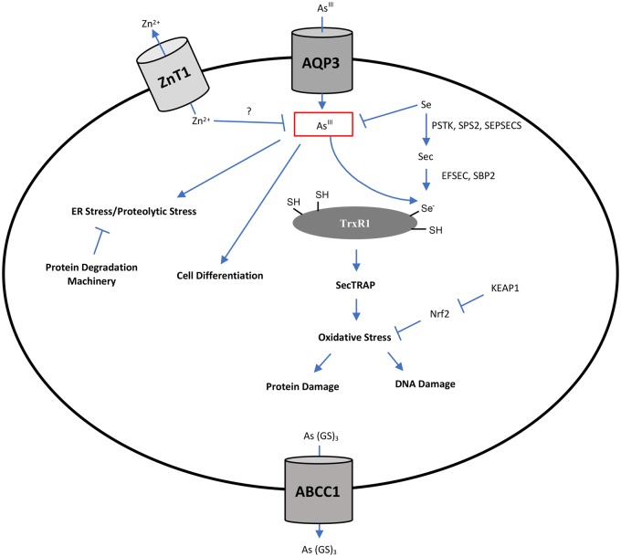 Figure 6.