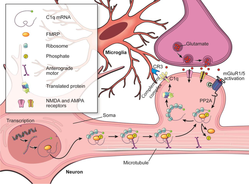 Figure 12.