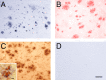 Figure 10.