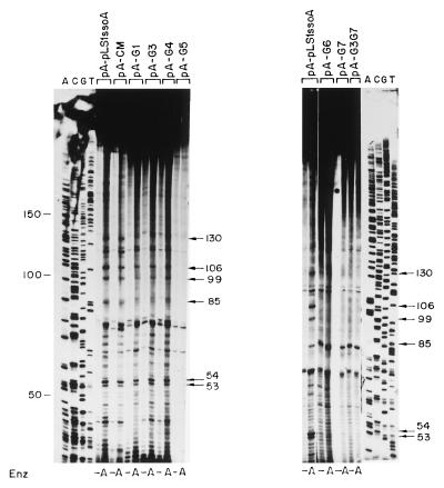 FIG. 6